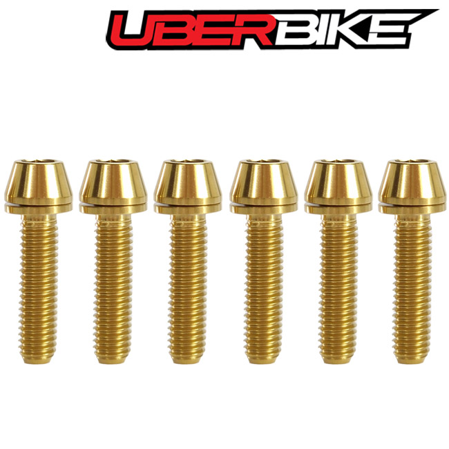 6 Uberbike Thomson Elite X4 Titanium Bolts M5x20 in gold colour in a  row.